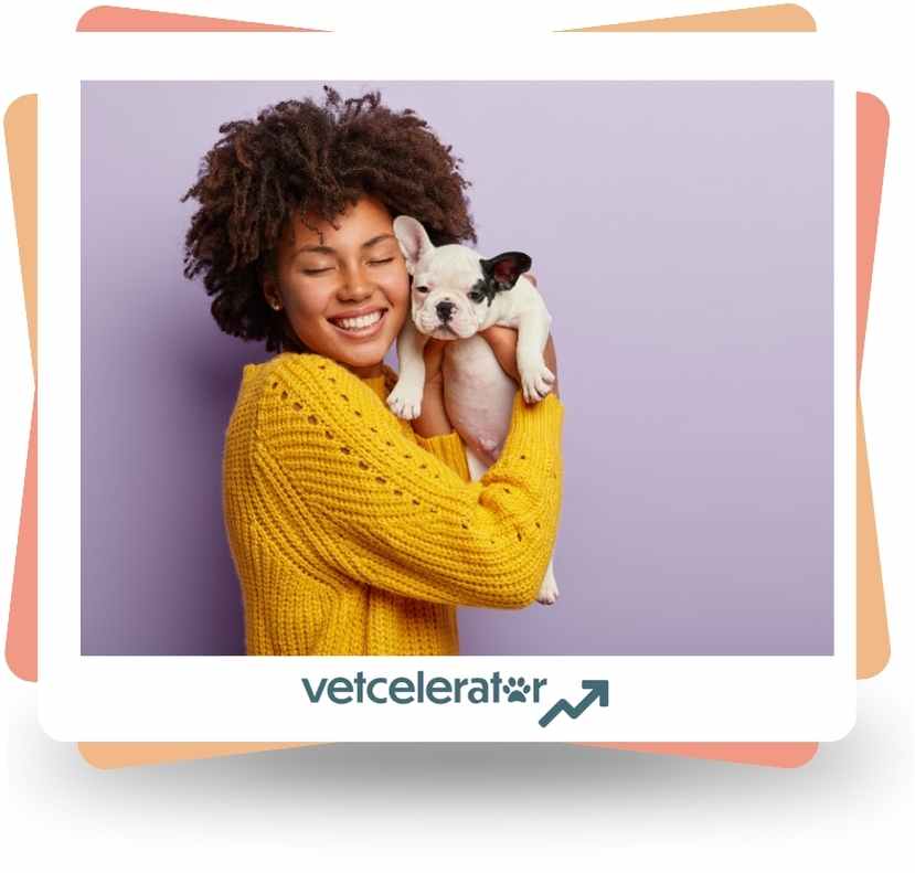 Vetcelerator Blog Cover Image