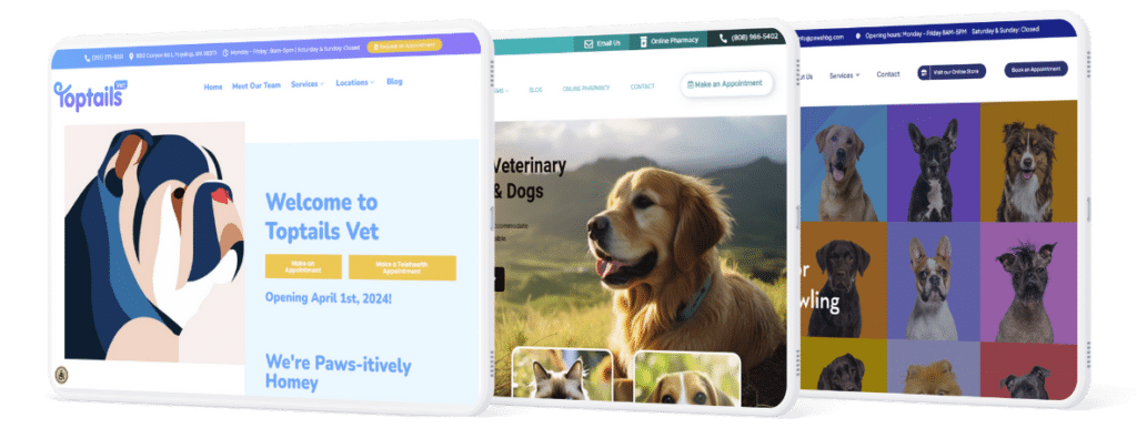 Examples of Vetcelerator website designs